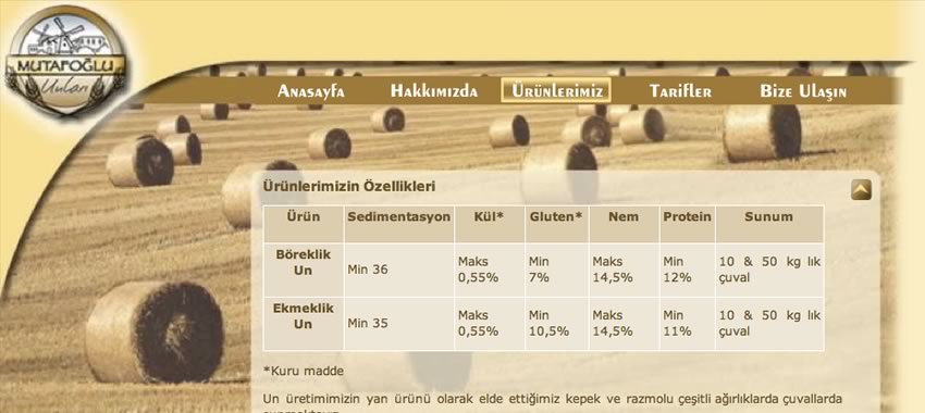 Mutafoğlu Web Sitesi ve Tanıtım
